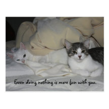 I love your company. post cards