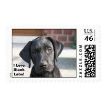 I LoveBlackLabs! postage by rdhall77 I LoveBlackLabs! postage