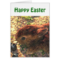 I LUV BUNNIES! Cute cards