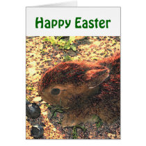 I LUV BUNNIES! Cute cards