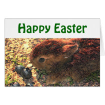 I LUV BUNNIES! Cute cards