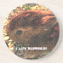 I LUV BUNNIES! Cute coasters