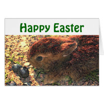 I LUV BUNNIES! Cute cards