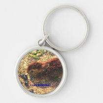 I LUV BUNNIES! Cute keychains