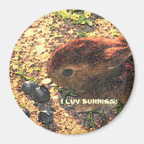 I LUV BUNNIES! Cute magnets