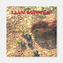 I LUV BUNNIES! Cute magnets