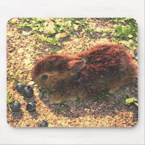 I LUV BUNNIES! Cute mousepads