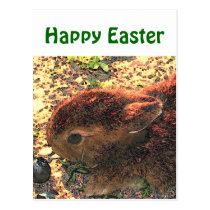 I LUV BUNNIES! Cute postcards
