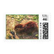 I LUV BUNNIES! Cute stamps