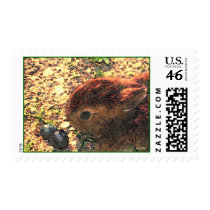 I LUV BUNNIES! Cute stamps