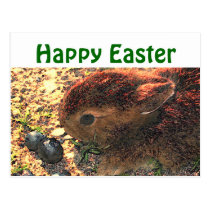 I LUV BUNNIES! Cute postcards