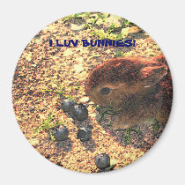 I LUV BUNNIES! Cute magnets
