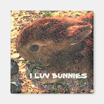 I LUV BUNNIES! Cute magnets