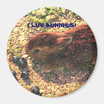 I LUV BUNNIES! Cute magnets