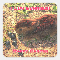 I LUV BUNNIES! Cute stickers