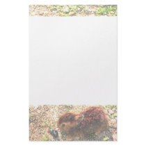 I LUV BUNNIES! Cute Stationery Paper