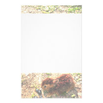 I LUV BUNNIES! Cute stationery