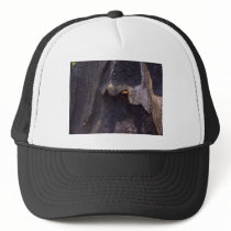 i’m batman hats