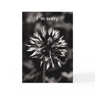 I´m sorry card card