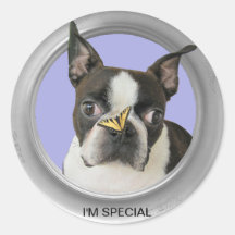 I;M SPECIAL BOSTON TERRIER-STICKER