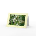 I`m Thinking of You cards by Persephone I`m Thinking of You cards