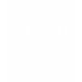 Ladies Long Sleeve