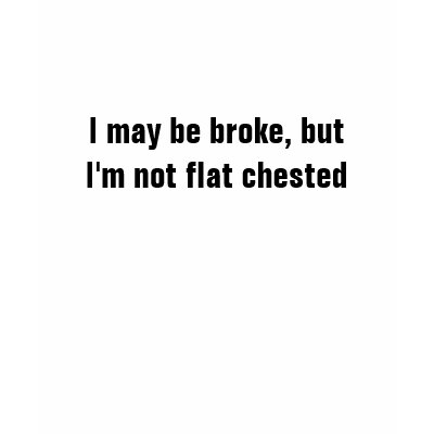 I may be broke, but I'm not flat chested Tee Shirt by Politicaltshirts