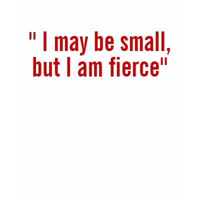 " I may be small but I am fierce" T Shirt by elephanttheater