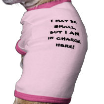 I may be small, but I AM in charge here! pet clothing by chellester76 I may be small, but I AM in charge here! pet clothing