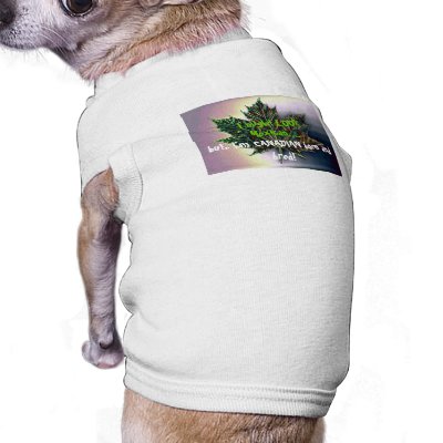 Dog Wearing Shirt