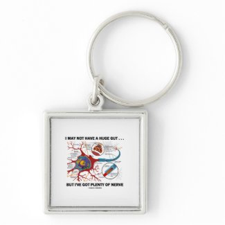I May Not Have A Huge Gut But I've Got Nerve keychain