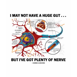 I May Not Have A Huge Gut But I've Got Nerve shirt