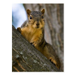 I Might Be Interested Postcards