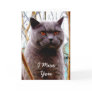 I Miss you Brithsi Blue Cat greeting card