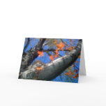 I miss you greeting cards