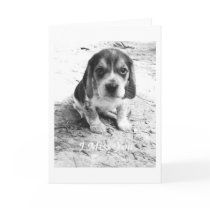 I Miss You Greeting Cards