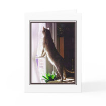 I miss you! cards