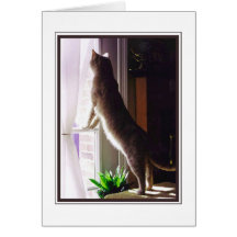 I miss you! cards