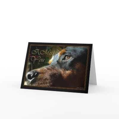 I miss you dog looking soo cute and sad card by moonlake