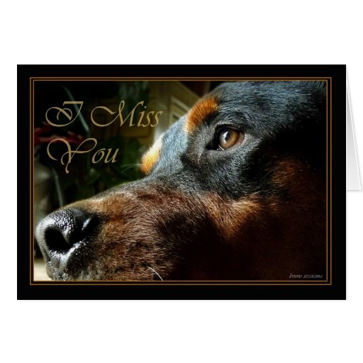 I miss you dog looking soo cute and sad card | Zazzle