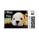 "I Miss You" English Bulldog Puppy postage
