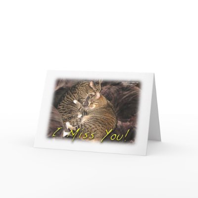 "I Miss You" Friendship card by tim895
