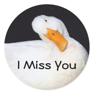 miss you funny pictures. I Miss You, funny duck Round