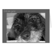 I miss you greeting cards