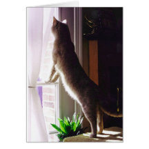I miss you! greeting cards