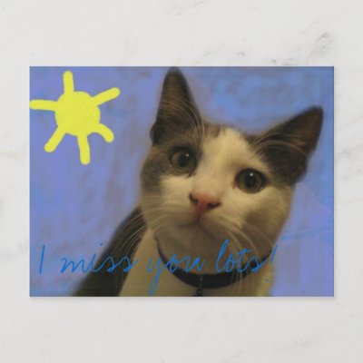 i miss you lots. I miss you lots! postcards by