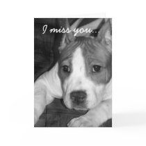 I miss you pitbull greeting card