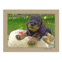 I miss you post card
