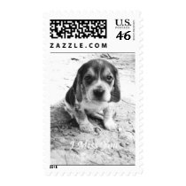 I Miss You Stamp