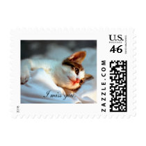 I miss you. postage